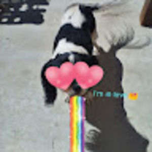 Meet your Posher, Oliver